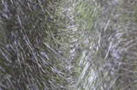 Farnley fibreglass roof work